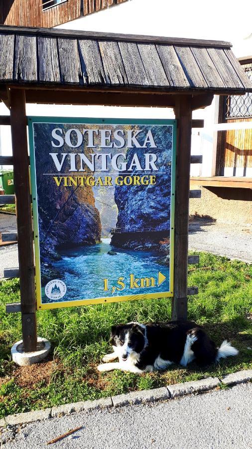238 Spodnje Gorje Lejlighed Eksteriør billede